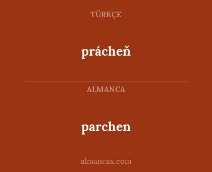 parchen - prácheň