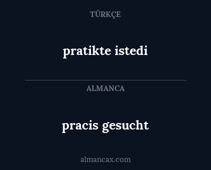 pracis gesucht - pratikte istedi