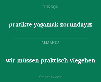 pratikte yaşamak zorundayız - wir müssen praktisch viegehen