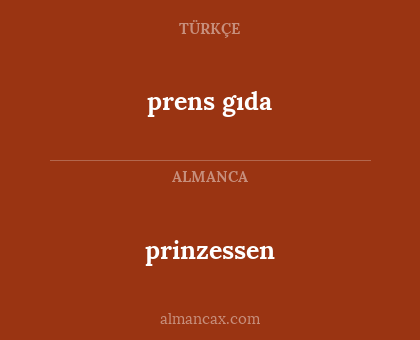 prinzessen - prens gıda