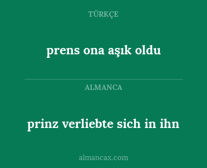 prinz verliebte sich in ihn - prens ona aşık oldu