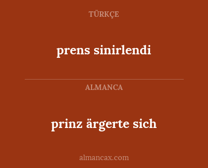 prens sinirlendi - prinz ärgerte sich