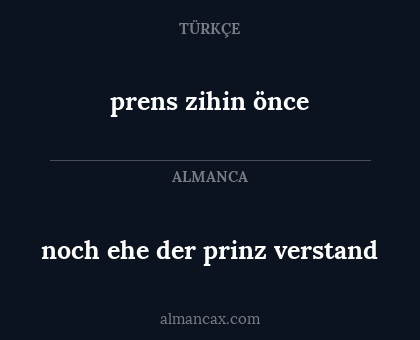 noch ehe der prinz verstand - prens zihin önce
