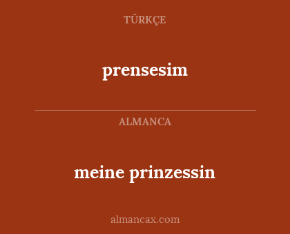 meine prinzessin - prensesim