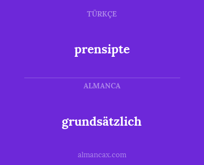 grundsätzlich - prensipte