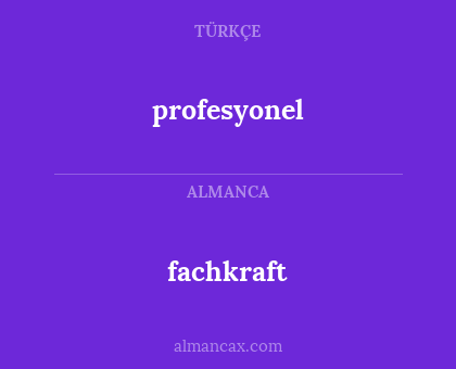 fachkraft - profesyonel