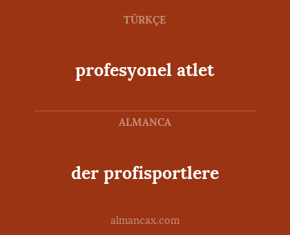 der profisportlere - profesyonel atlet