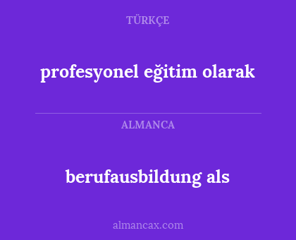 profesyonel eğitim olarak - berufausbildung als