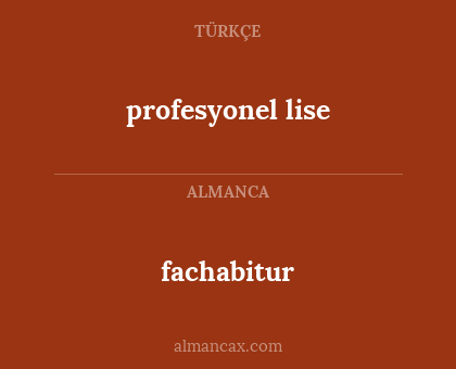 fachabitur - profesyonel lise