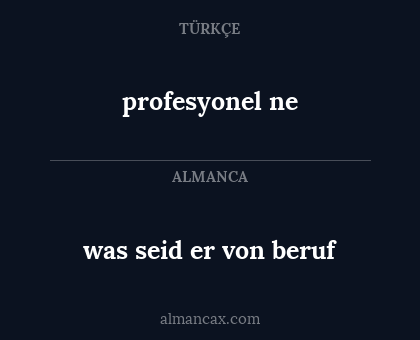 profesyonel ne - was seid er von beruf