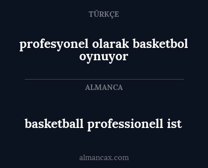 basketball professionell ist - profesyonel olarak basketbol oynuyor