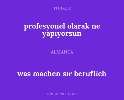 was machen sır beruflich - profesyonel olarak ne yapıyorsun