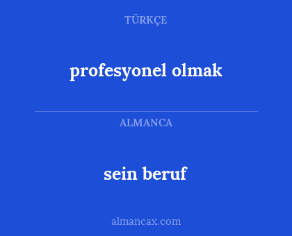 sein beruf - profesyonel olmak
