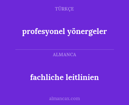 fachliche leitlinien - profesyonel yönergeler