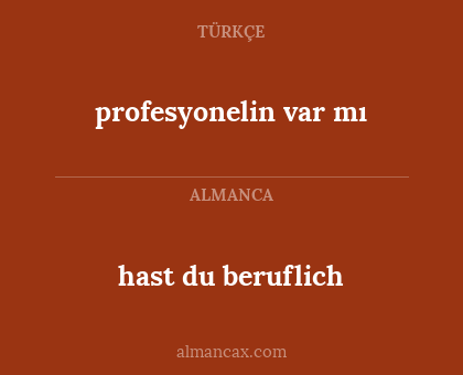 profesyonelin var mı - hast du beruflich