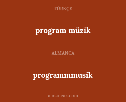 programmmusik - program müzik
