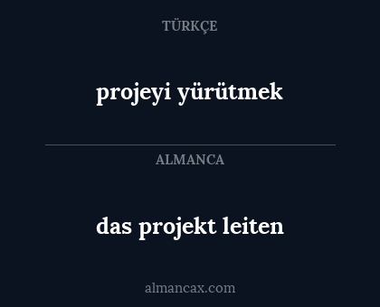das projekt leiten - projeyi yürütmek