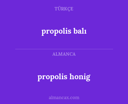 propolis balı - propolis honig
