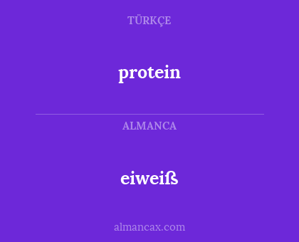 eiweiß - protein
