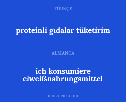 ich konsumiere eiweißnahrungsmittel - proteinli gıdalar tüketirim