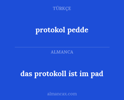 protokol pedde - das protokoll ist im pad