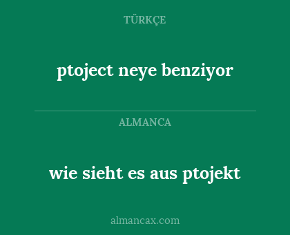 wie sieht es aus ptojekt - ptoject neye benziyor