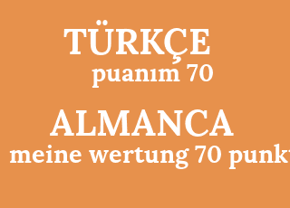 puan%C4%B1m+70-meine+wertung+70+punkte.png