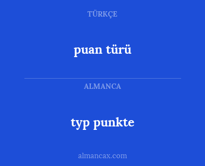 typ punkte - puan türü