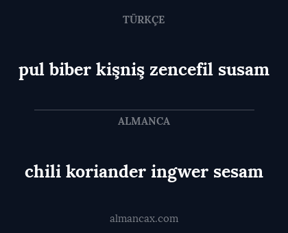 pul biber
kişniş
zencefil
susam - chili koriander ingwer sesam