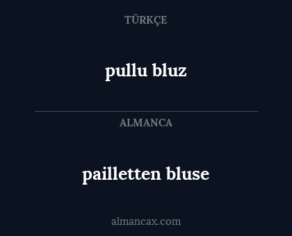 pullu bluz - pailletten bluse