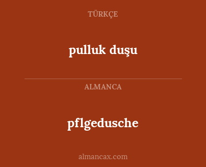 pflgedusche - pulluk duşu