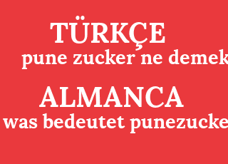 pune+zucker+ne+demek-was+bedeutet+punezucker%3F.png
