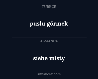 puslu görmek - siehe misty