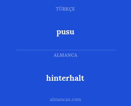 hinterhalt - pusu