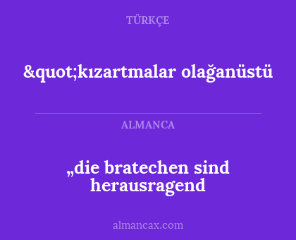 „die bratechen sind herausragend - "kızartmalar olağanüstü