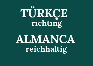 r%C4%B1cht%C4%B1ng-reichhaltig.png