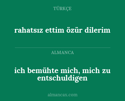 ich bemühte mich, mich zu entschuldigen - rahatsız ettim özür dilerim