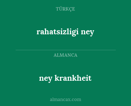 rahatsizligi ney - ney krankheit