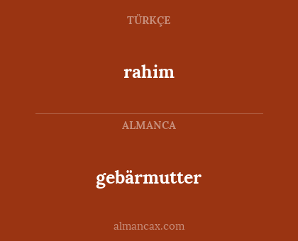 rahim - gebärmutter