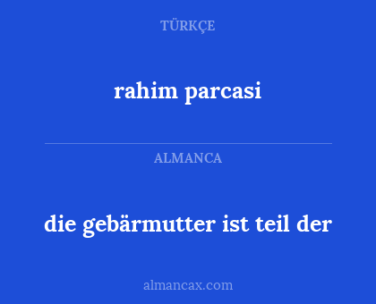 die gebärmutter ist teil der - rahim parcasi