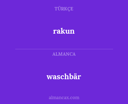 waschbär - rakun