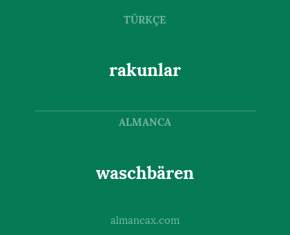 waschbären - rakunlar