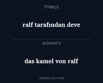 das kamel von ralf - ralf tarafından deve