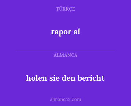 holen sie den bericht - rapor al