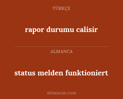 rapor durumu calisir - status melden funktioniert