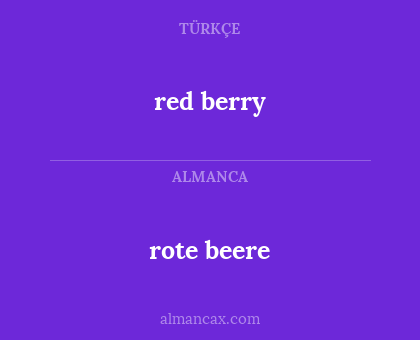 red berry - rote beere