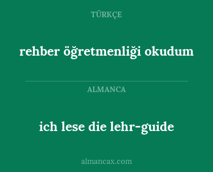 ich lese die lehr-guide - rehber öğretmenliği okudum
