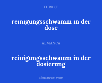 reinigungsschwamm in der dosierung - reınıgungsschwamm ın der dose