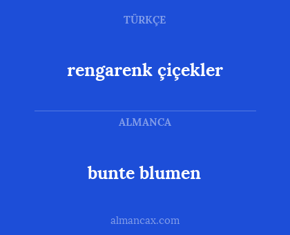 bunte blumen - rengarenk çiçekler