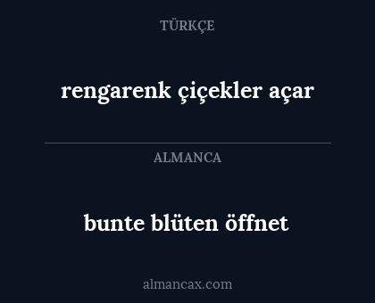 bunte blüten öffnet - rengarenk çiçekler açar